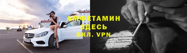сатива Кукмор