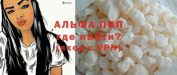сатива Кукмор