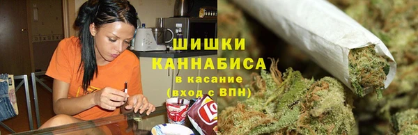 сатива Кукмор